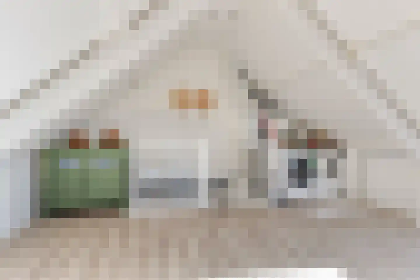 Groes 72 Eersel thumbnail 32