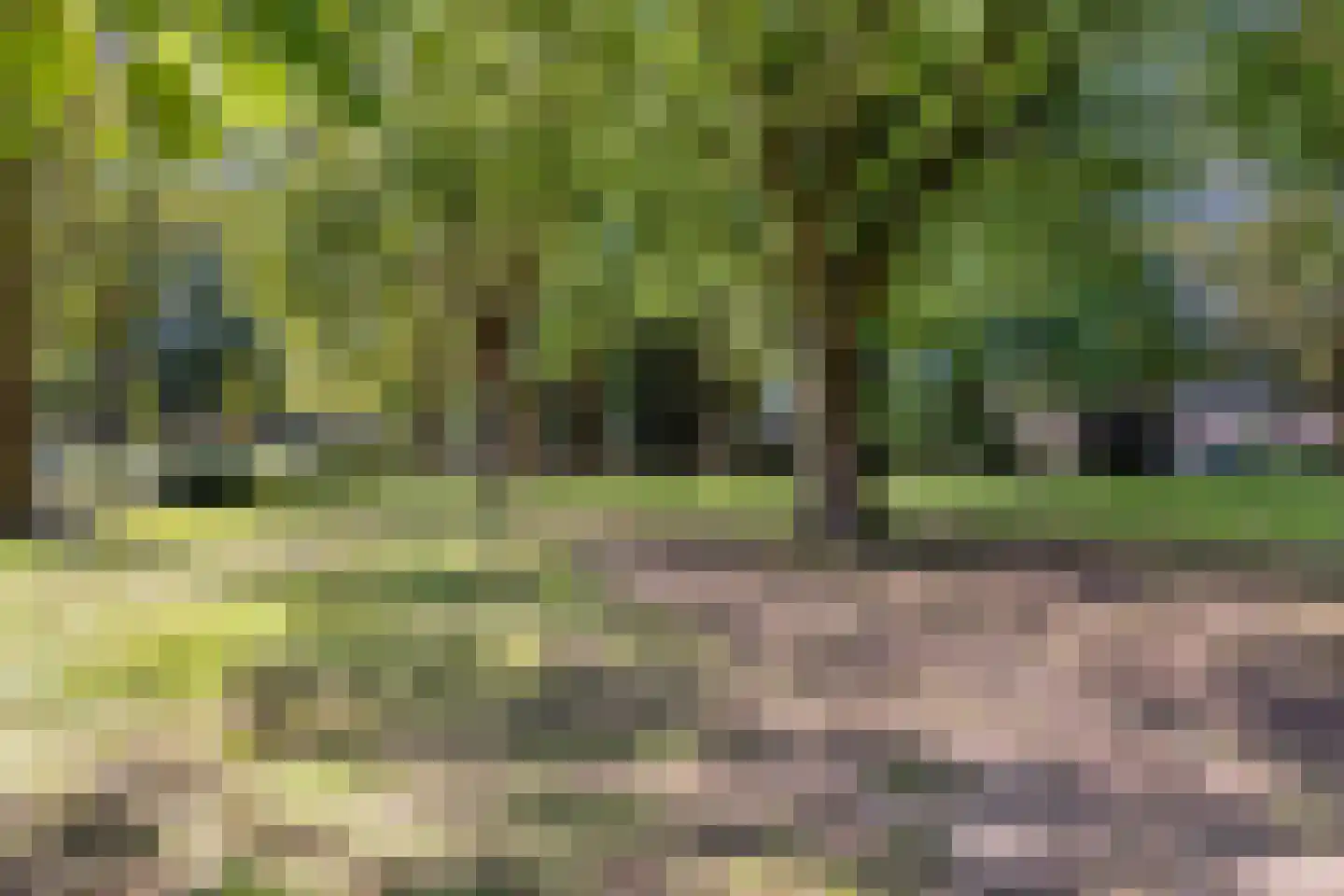 Groes 72 Eersel thumbnail 41