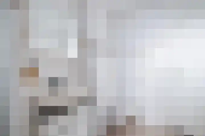 Groes 74 Eersel thumbnail 21