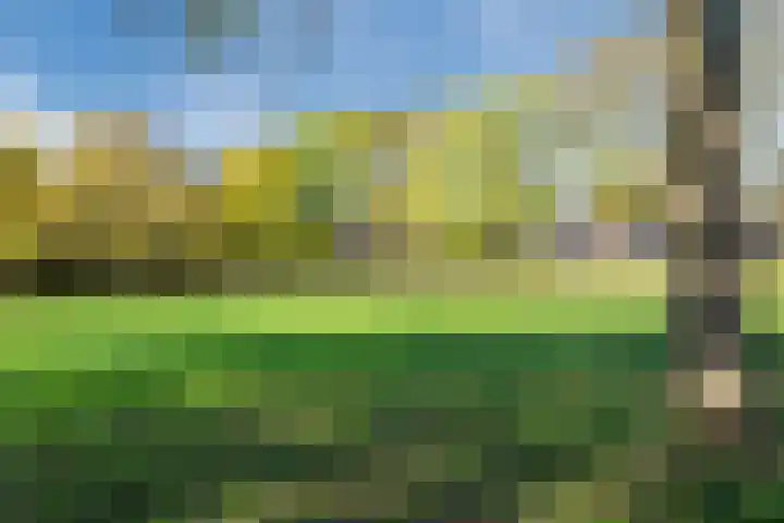 Groes 74 Eersel thumbnail 28