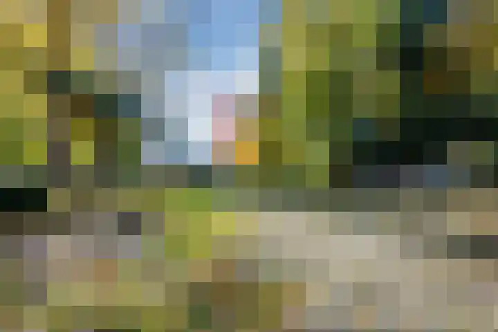 Groes 74 Eersel thumbnail 30