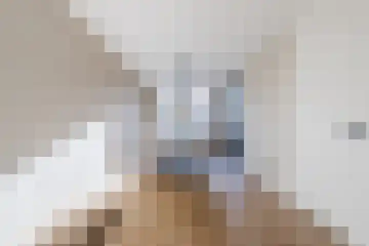 Groes 74 Eersel thumbnail 6
