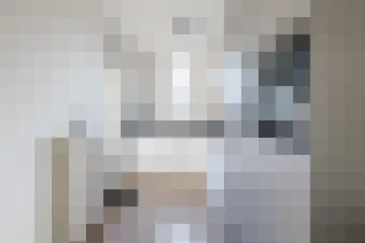 Groes 74 Eersel thumbnail 9
