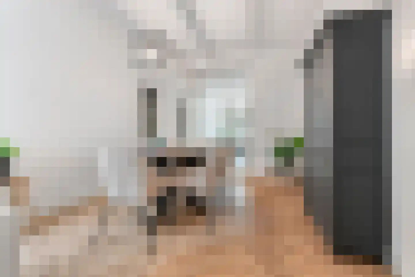 Groesbeeksedwarsweg 133 Nijmegen thumbnail 12