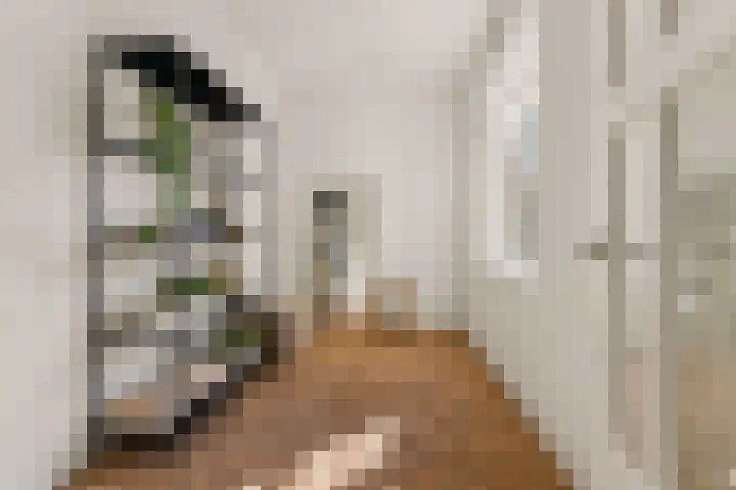 Groesbeeksedwarsweg 133 Nijmegen thumbnail 14