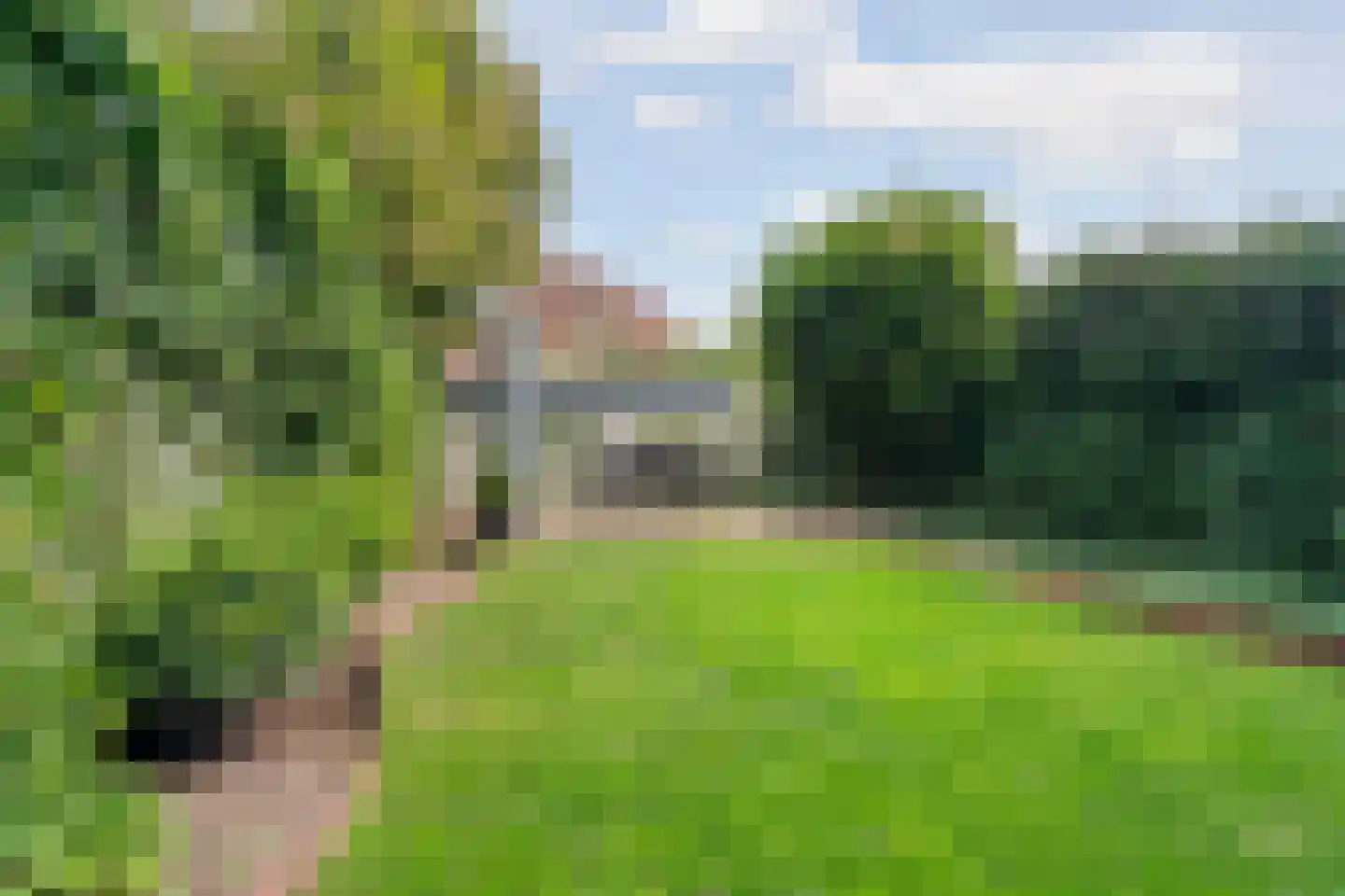 Groesbeeksedwarsweg 133 Nijmegen thumbnail 31