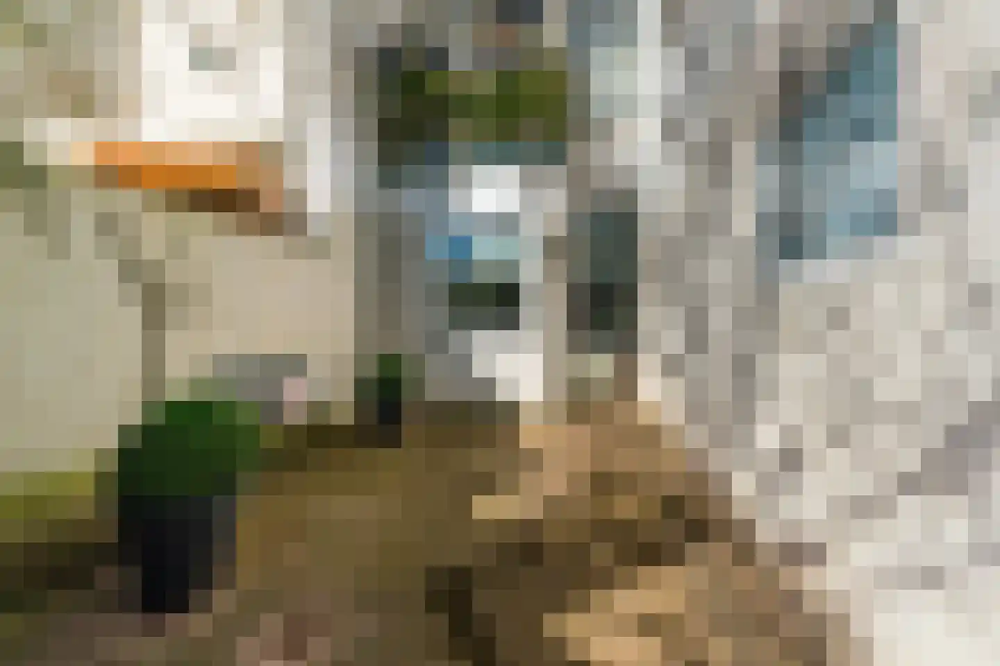 Groesbeeksedwarsweg 133 Nijmegen thumbnail 34