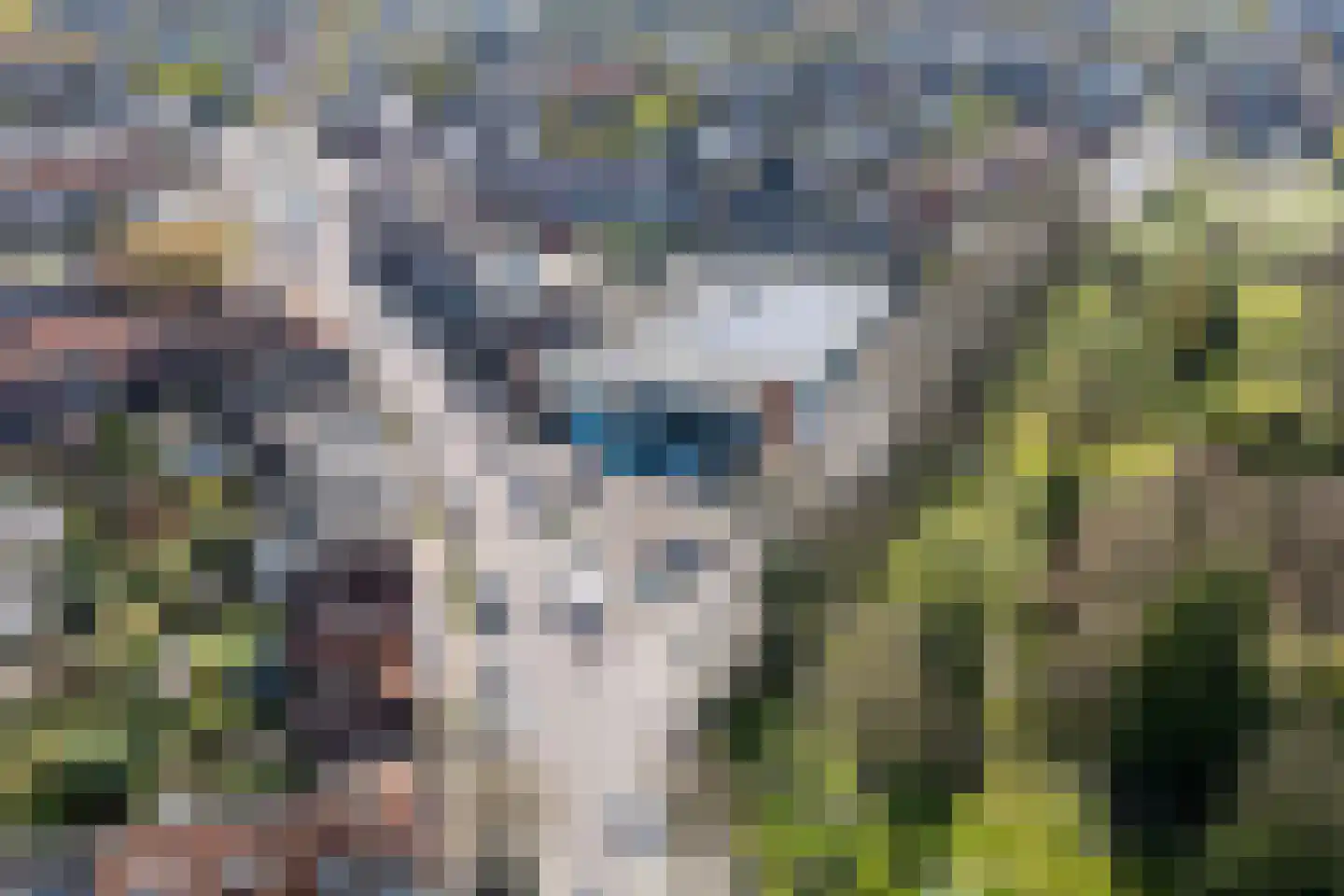 Groesbeeksedwarsweg 133 Nijmegen thumbnail 38