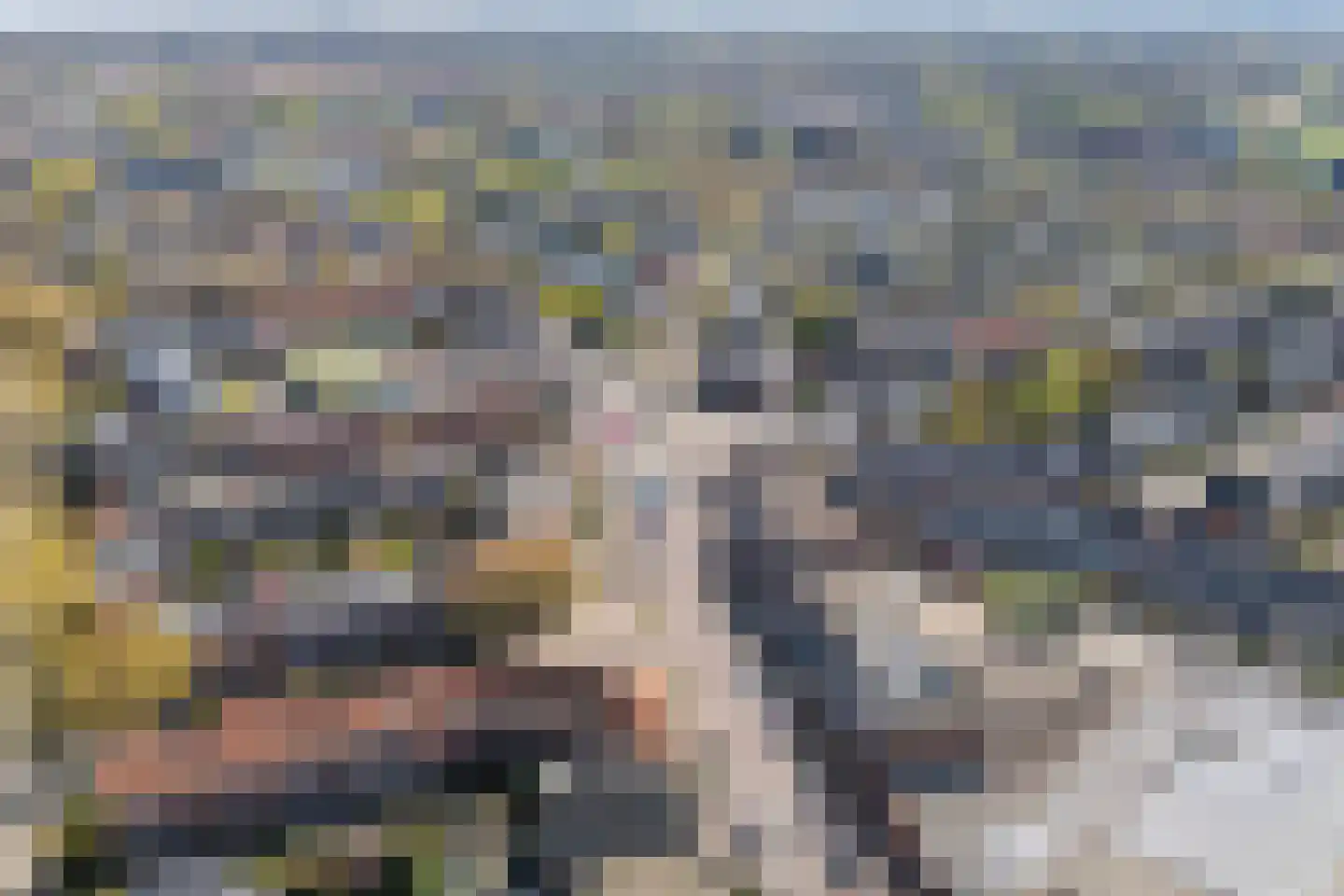 Groesbeeksedwarsweg 133 Nijmegen thumbnail 39