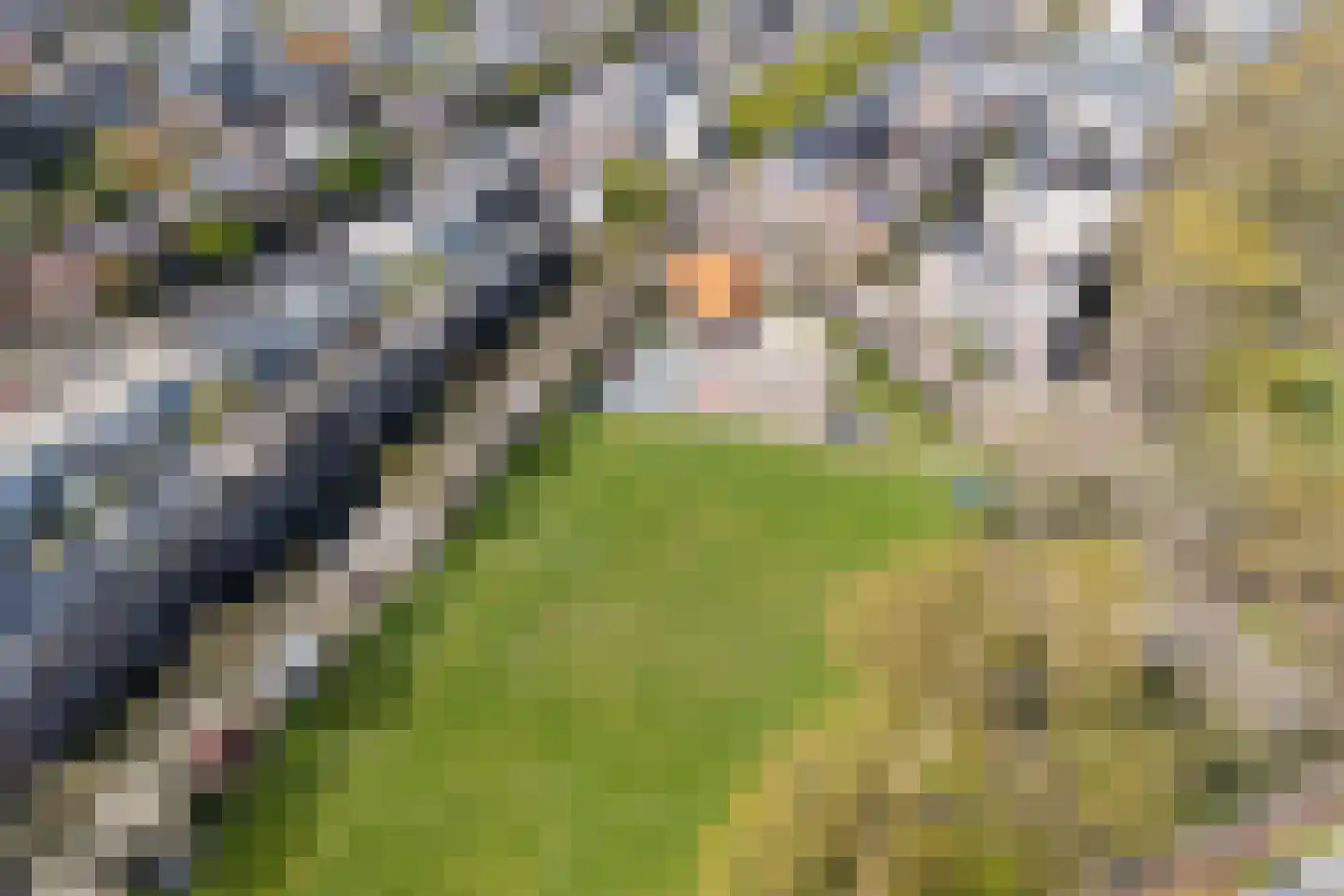 Groesbeeksedwarsweg 133 Nijmegen thumbnail 40