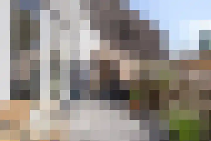 Groesbeeksedwarsweg 153 Nijmegen thumbnail 18