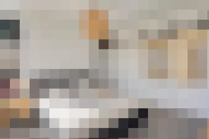 Groesbeeksedwarsweg 153 Nijmegen thumbnail 33
