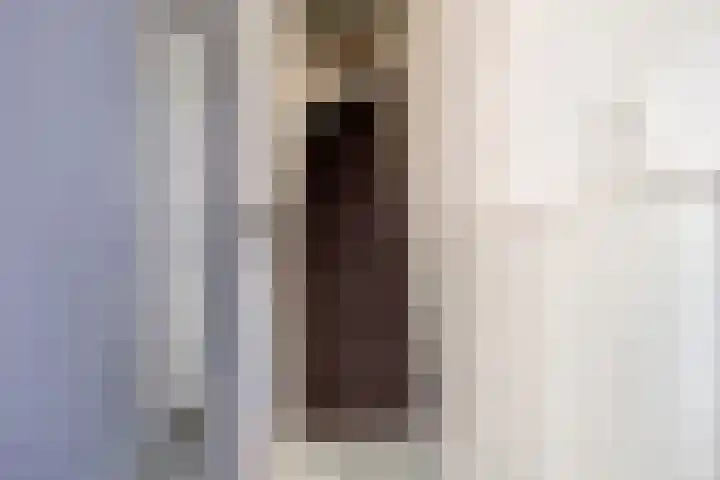 Groesbeeksedwarsweg 153 Nijmegen thumbnail 5
