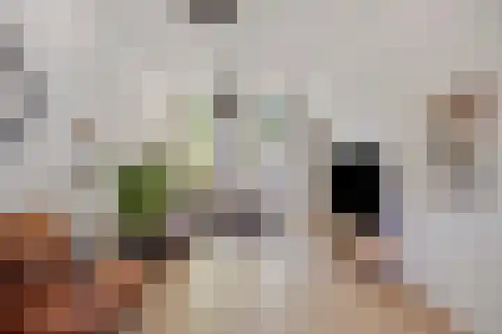 Groesbeeksedwarsweg 153 Nijmegen thumbnail 7