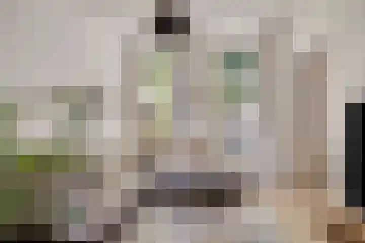 Groesbeeksedwarsweg 153 Nijmegen thumbnail 8