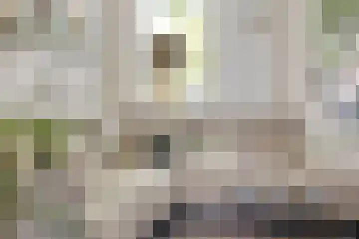 Groesbeeksedwarsweg 153 Nijmegen thumbnail 9