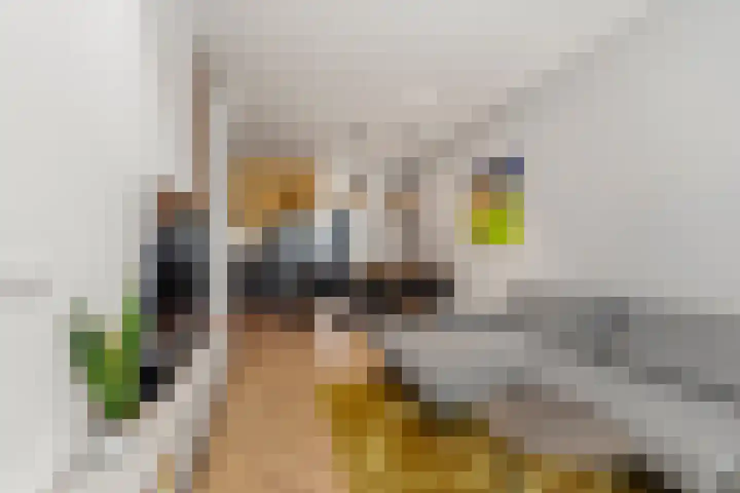 Groesbeeksedwarsweg 155 Nijmegen thumbnail 10