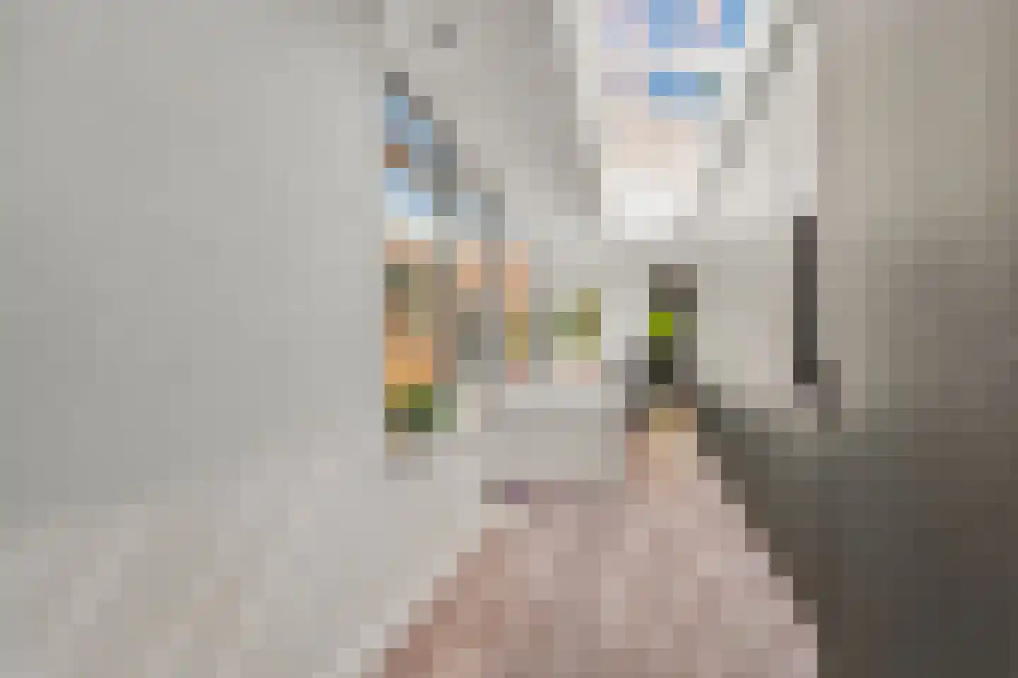 Groesbeeksedwarsweg 155 Nijmegen thumbnail 18