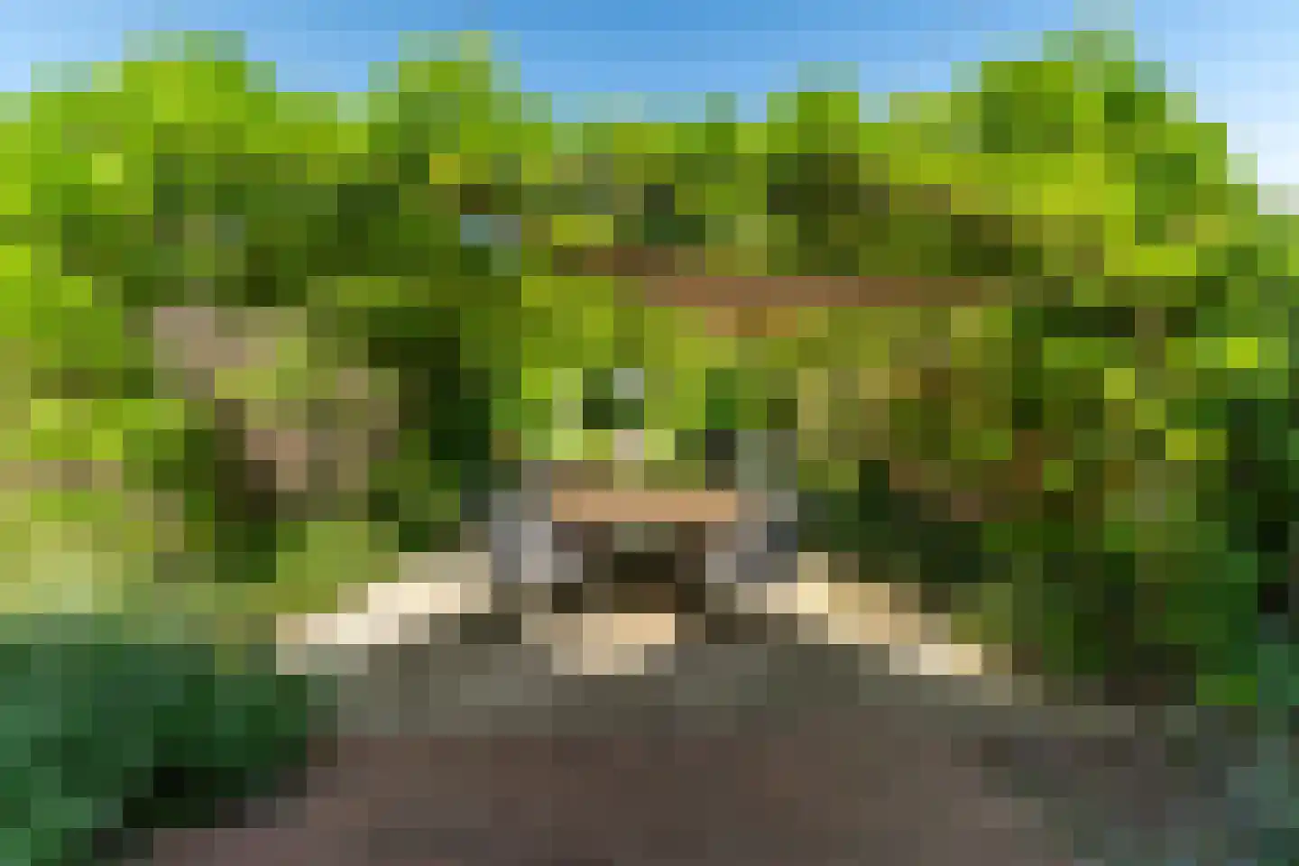 Groesbeeksedwarsweg 155 Nijmegen thumbnail 4