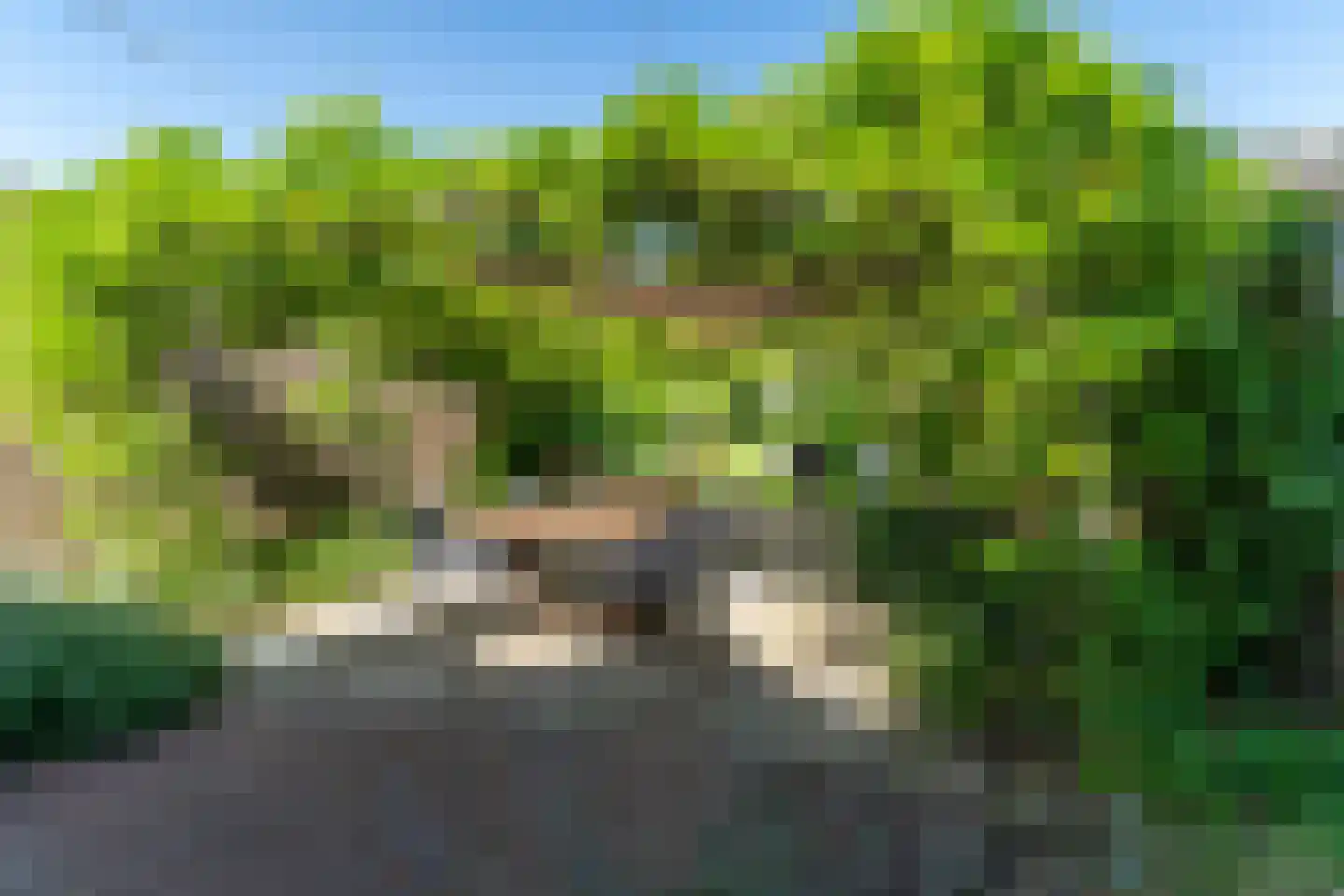 Groesbeeksedwarsweg 155 Nijmegen thumbnail 41