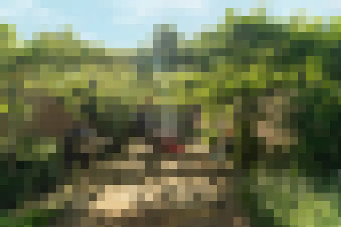Groesbeeksedwarsweg 155 Nijmegen thumbnail 43