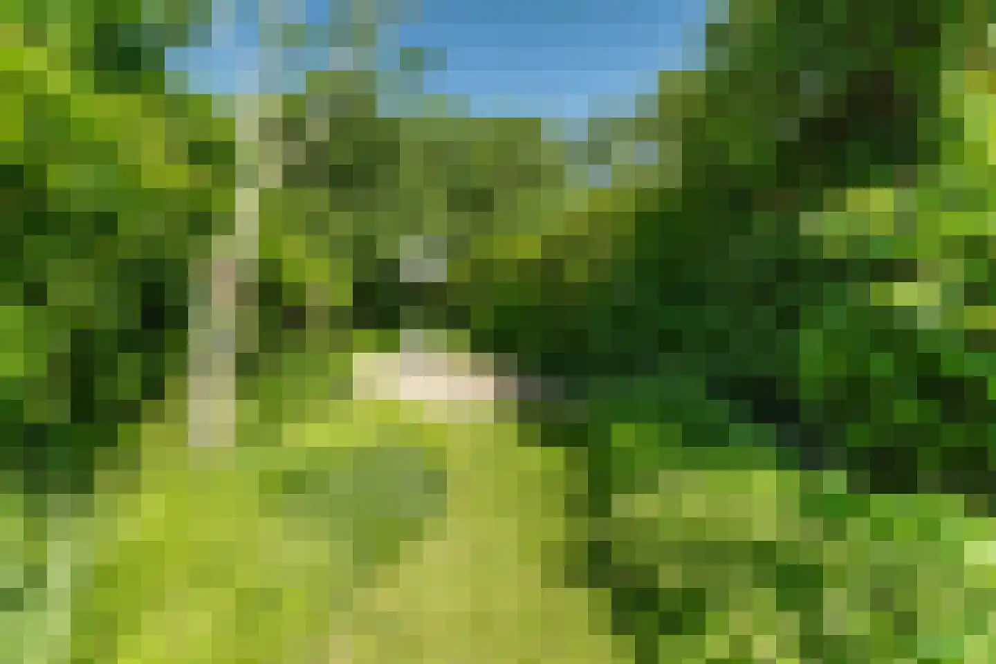 Groesbeeksedwarsweg 155 Nijmegen thumbnail 44
