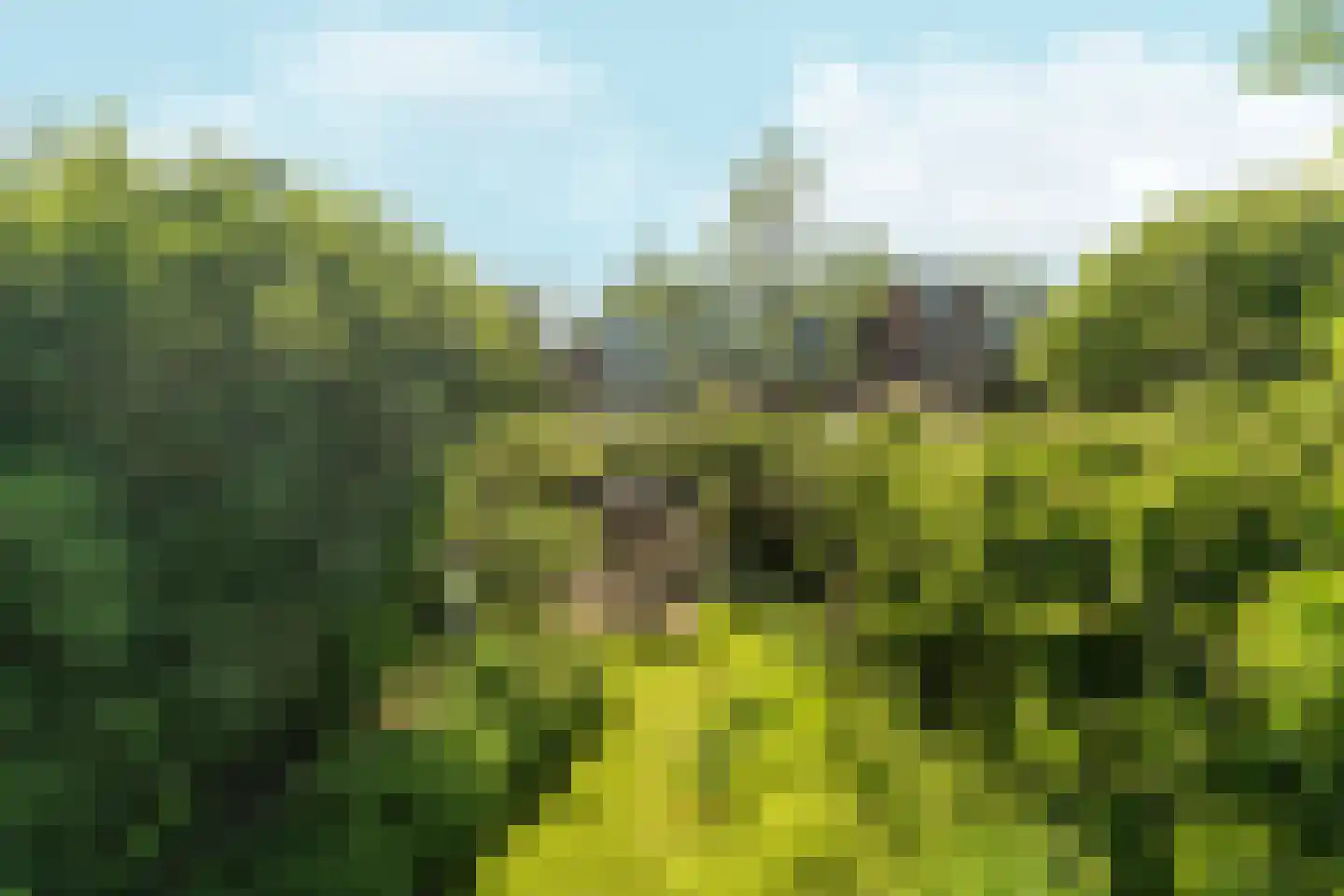 Groesbeeksedwarsweg 155 Nijmegen thumbnail 46
