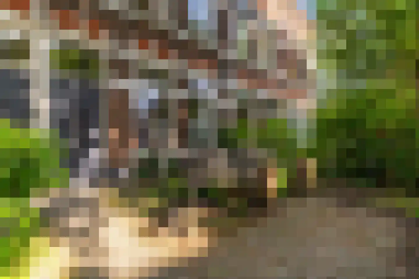 Groesbeeksedwarsweg 155 Nijmegen thumbnail 47
