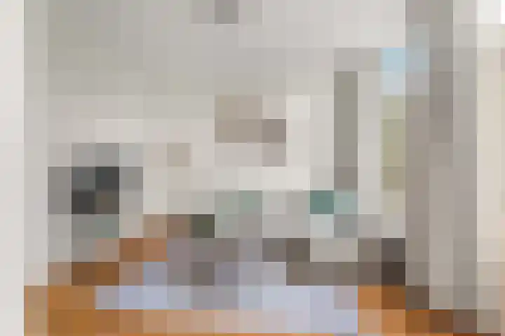 Groesbeeksedwarsweg 200 Nijmegen thumbnail 12