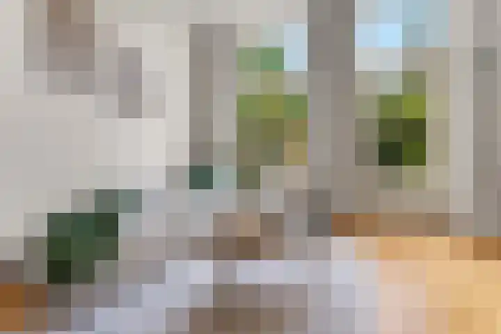 Groesbeeksedwarsweg 200 Nijmegen thumbnail 13