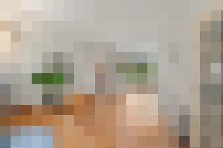 Groesbeeksedwarsweg 200 Nijmegen thumbnail 18