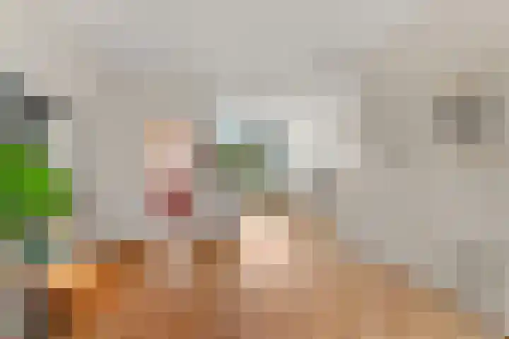 Groesbeeksedwarsweg 200 Nijmegen thumbnail 19