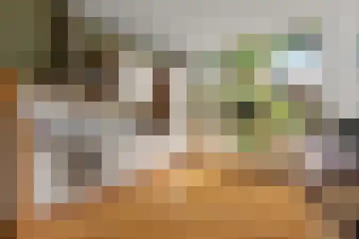 Groesbeeksedwarsweg 200 Nijmegen thumbnail 20