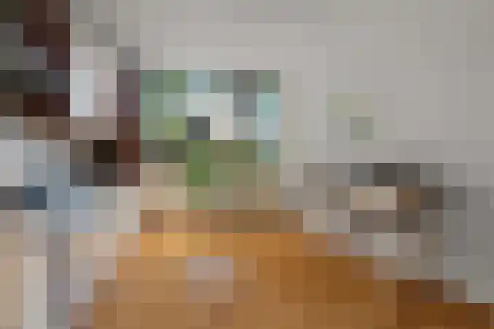 Groesbeeksedwarsweg 200 Nijmegen thumbnail 21