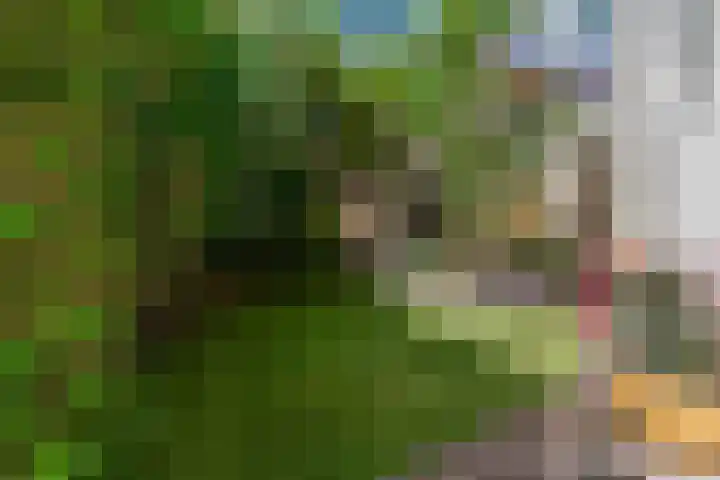 Groesbeeksedwarsweg 200 Nijmegen thumbnail 33