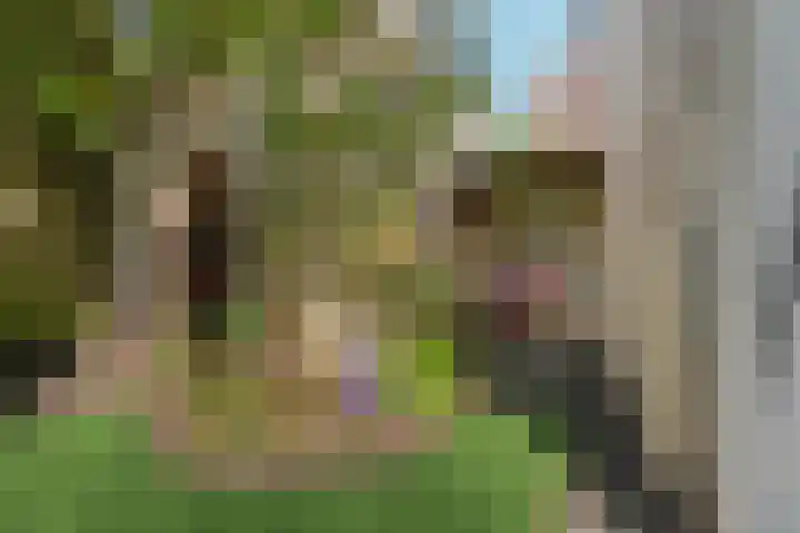 Groesbeeksedwarsweg 200 Nijmegen thumbnail 35