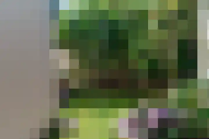 Groesbeeksedwarsweg 200 Nijmegen thumbnail 36