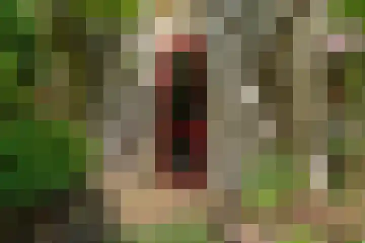 Groesbeeksedwarsweg 200 Nijmegen thumbnail 38