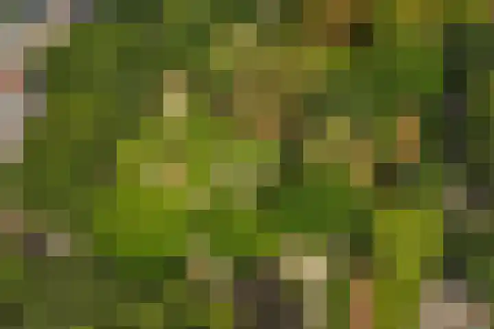 Groesbeeksedwarsweg 200 Nijmegen thumbnail 40