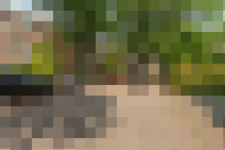 Groesbeeksedwarsweg 200 Nijmegen thumbnail 41