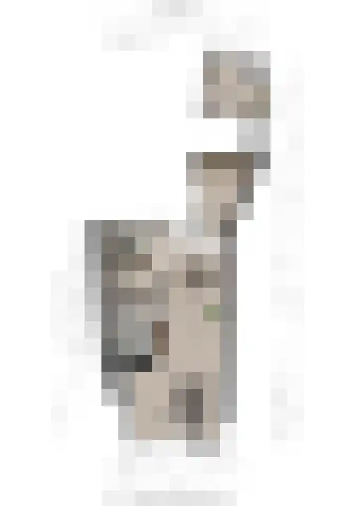 Groesbeeksedwarsweg 200 Nijmegen thumbnail 42