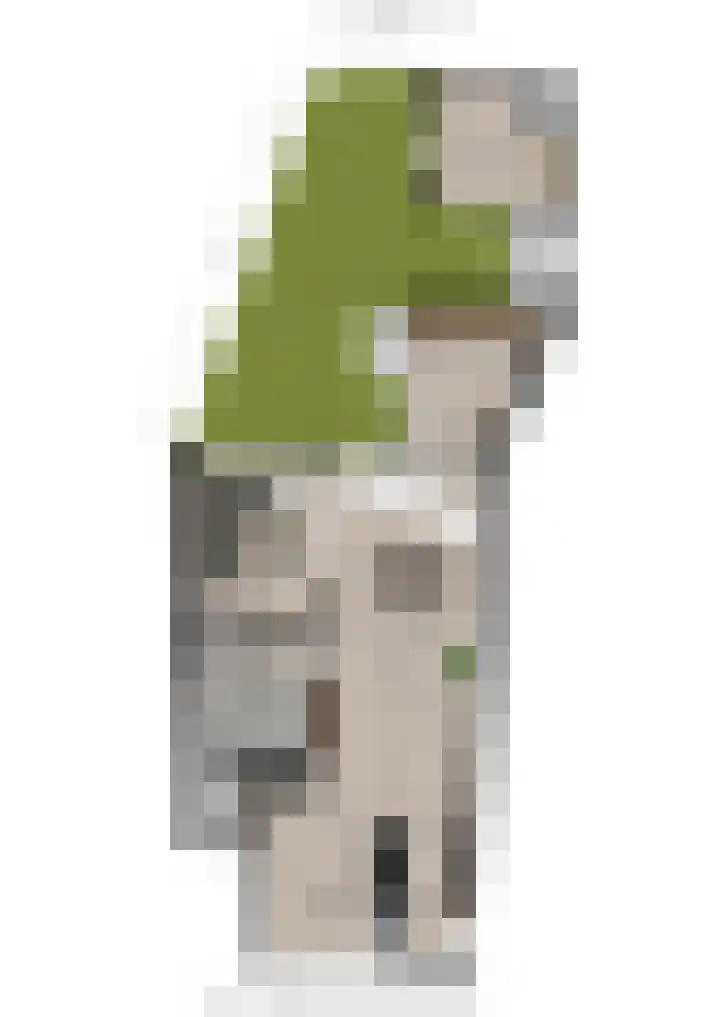 Groesbeeksedwarsweg 200 Nijmegen thumbnail 44