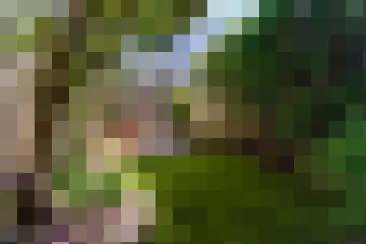 Groesbeeksedwarsweg 200 Nijmegen thumbnail 5