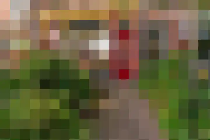 Groesbeeksedwarsweg 200 Nijmegen thumbnail 6