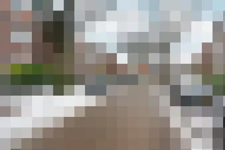 Groesbeeksedwarsweg 211 Nijmegen thumbnail 23