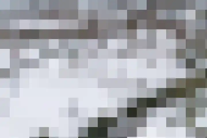 Groesbeeksedwarsweg 211 Nijmegen thumbnail 26