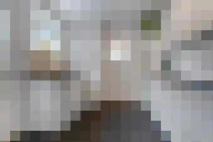 Groesbeeksedwarsweg 211 Nijmegen thumbnail 4