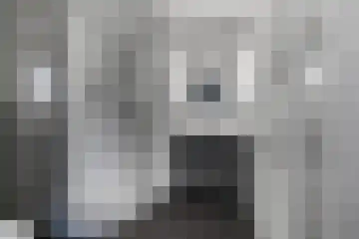 Groesbeeksedwarsweg 211 Nijmegen thumbnail 5
