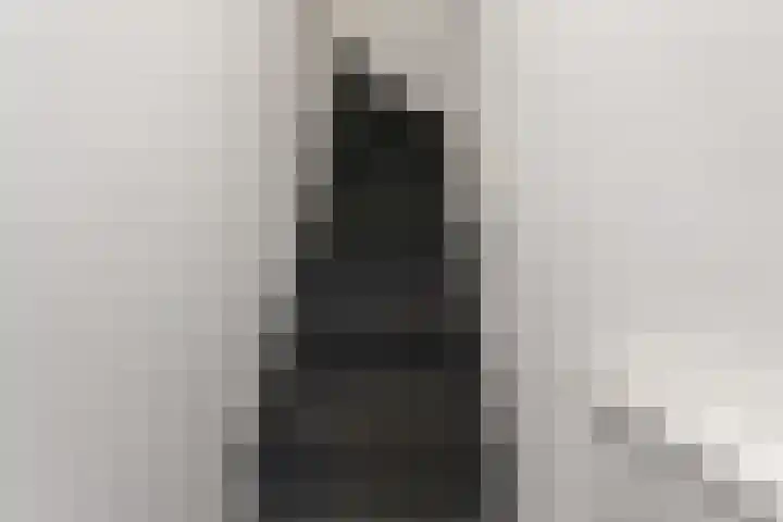 Groesbeeksedwarsweg 211 Nijmegen thumbnail 8