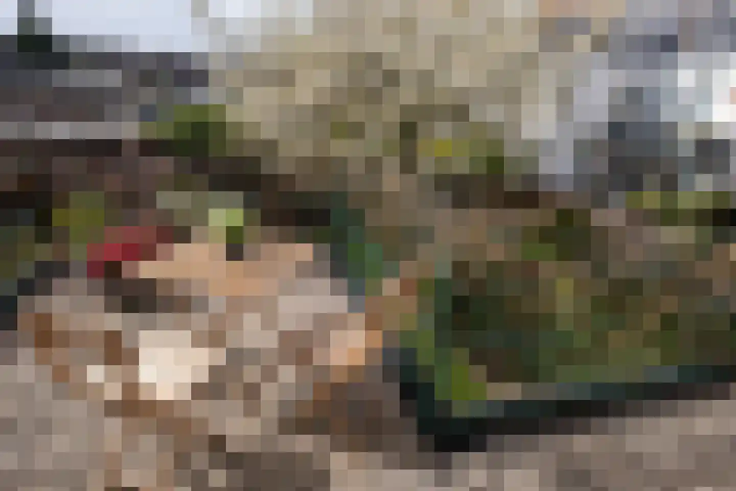 Groesbeeksedwarsweg 260 Nijmegen thumbnail 27